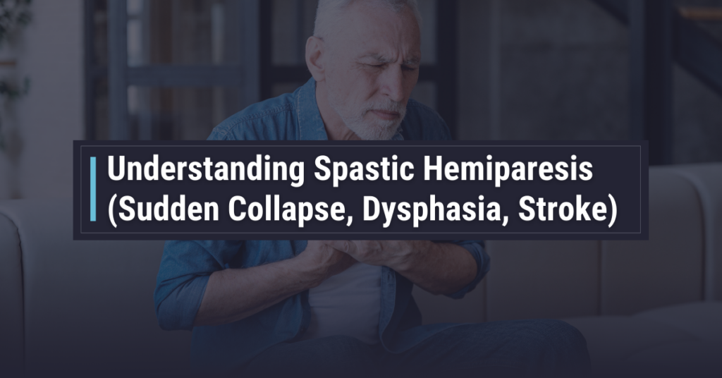 Understanding Spastic Hemiparesis 